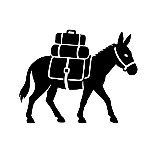 service icon
