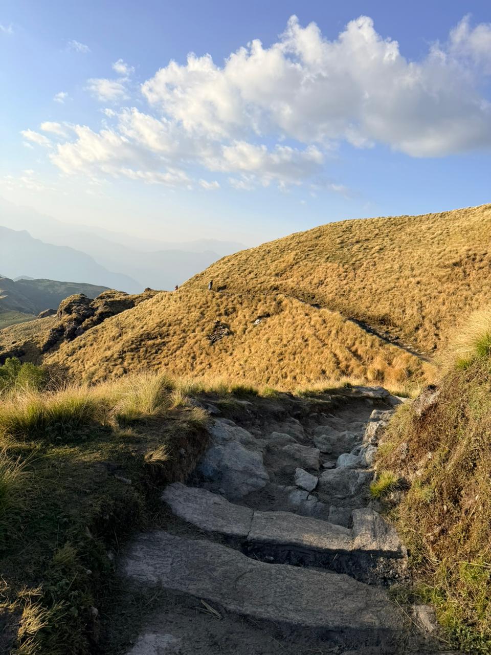 Rudranath Trek visual after paragraph 40 - Rudranath Temple Trek Guide 2026