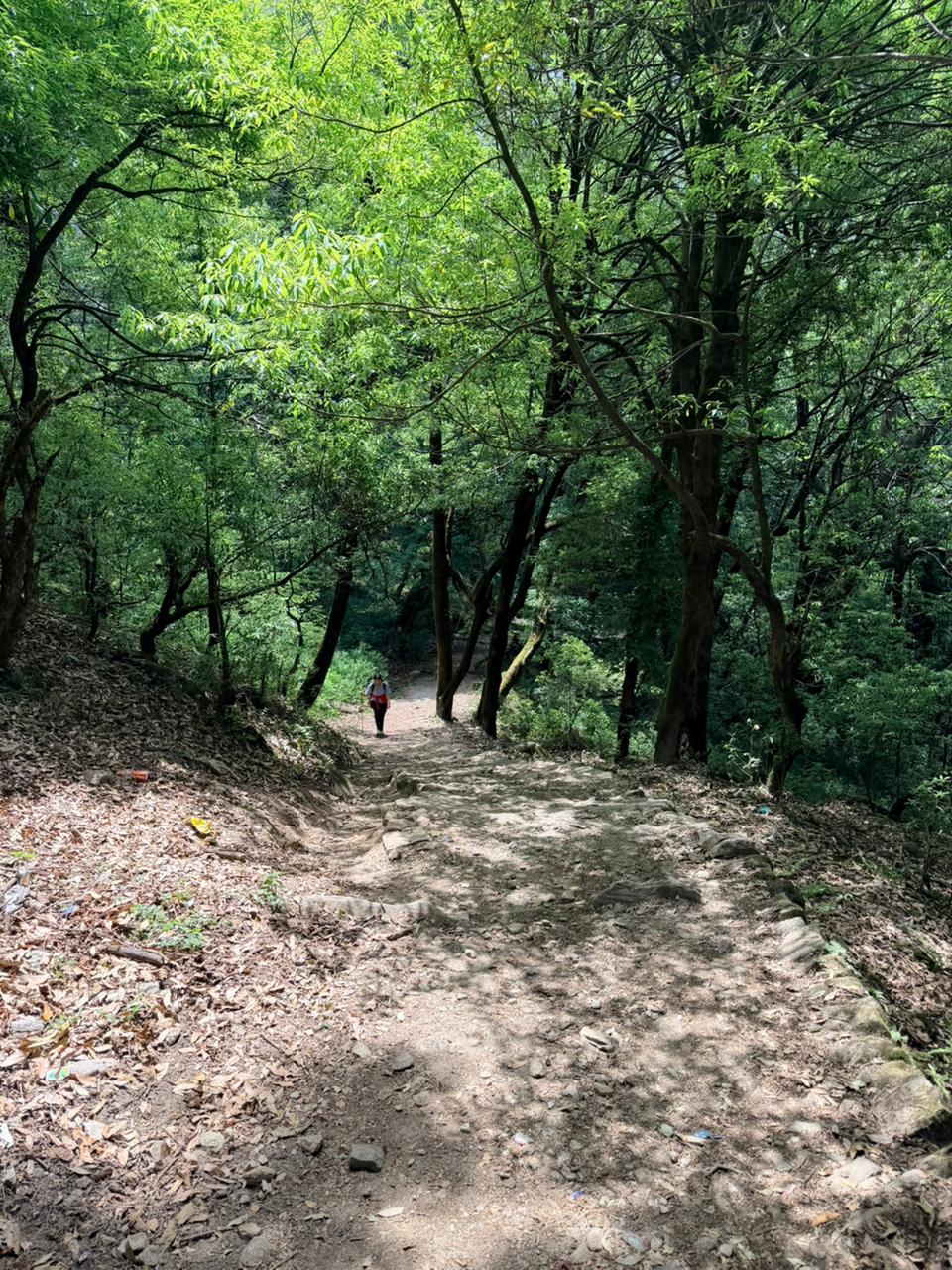 The most practical approach route this season - Rudranath Temple Trek Guide 2026