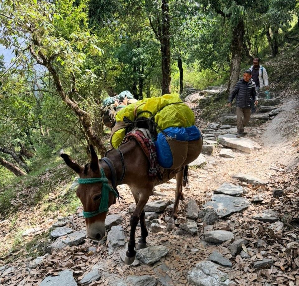 Trek quick facts - Rudranath Temple Trek Guide 2026
