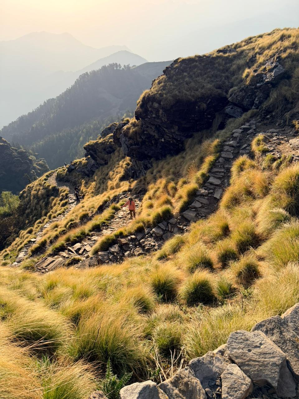 Trek routes that matter right now - Rudranath Temple Trek Guide 2026