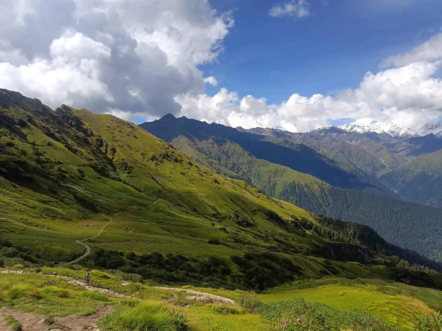 Why Rudranath feels different from other Himalayan temple treks - Rudranath Temple Trek Guide 2026